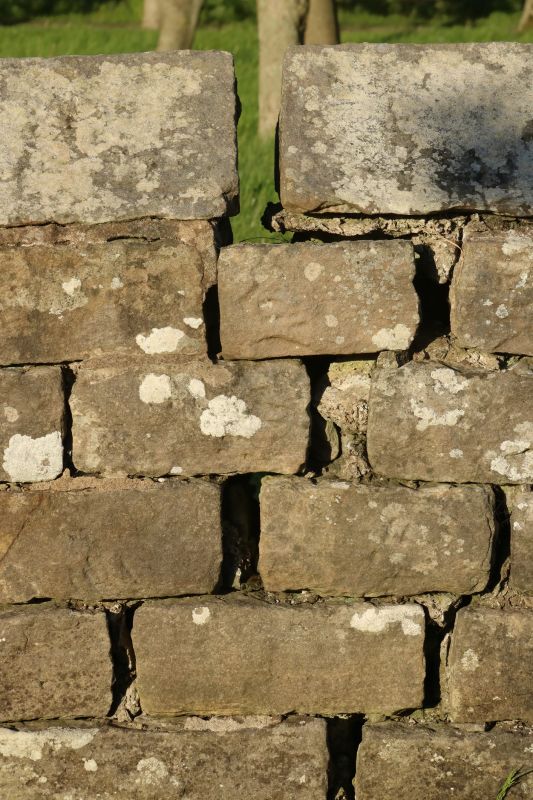Stone Wall Repair in Flowery Branch, GA